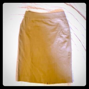 Banana Republic Pencil Skirt